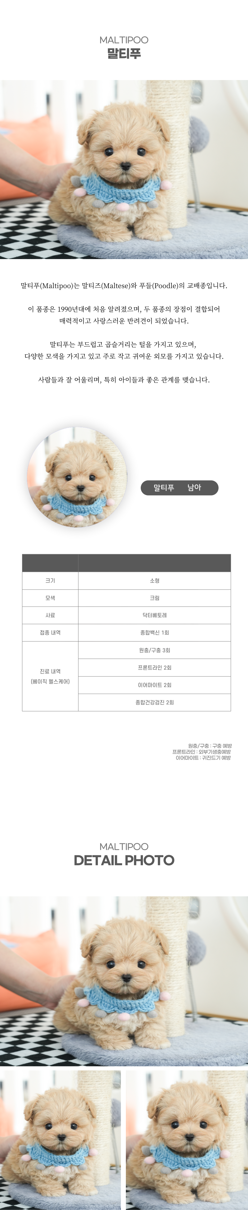 말티푸_상세이미지_2